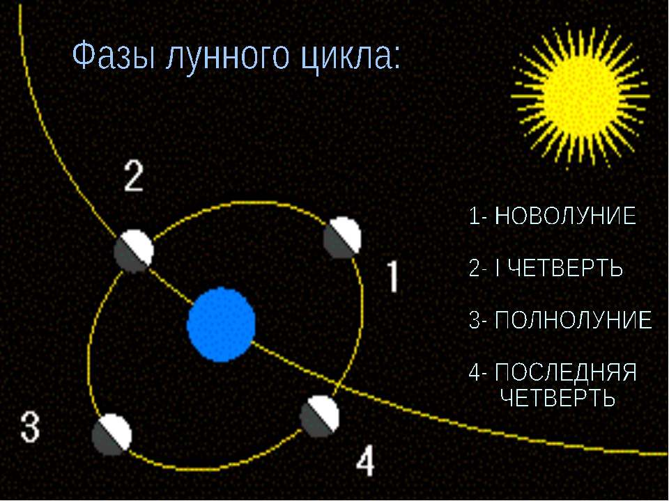 Фазой луны называется отношение. Цикл лунных фаз. Луна циклы фазы. Вторая четверть лунного цикла. Вторая фаза лунного цикла это.