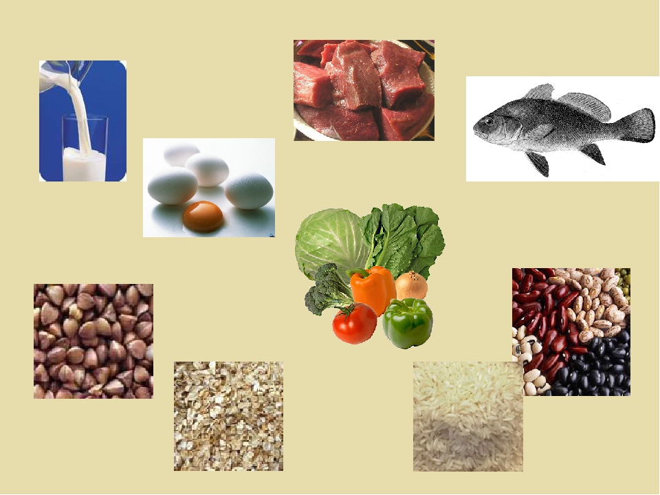 3 продукта растительного происхождения. Продукты растительного и животного происхождения. Пища животного происхождения. Полезные продукты растительного происхождения. Растительное происхождение.