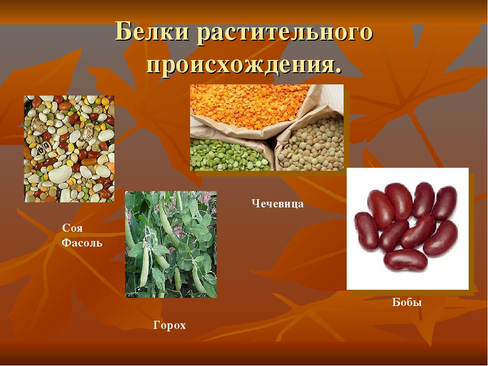 Примеры растительного происхождения. Белки растительногороисхождения. Белок растительного происхождения. Растительные белки. Животные и растительные белки.
