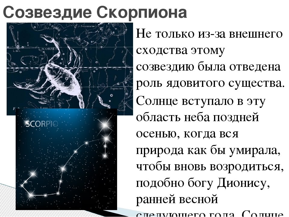 Гороскоп скорпион с 8 по 14 апреля. Рассказ про знак зодиака Скорпион. Рассказ о созвездии скорпиона.